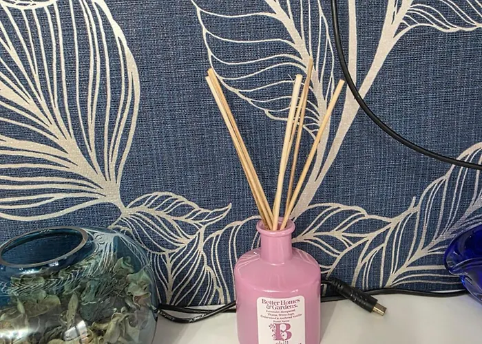 Stylish And Comfortable